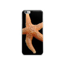 Starfish iPhone 5/5s/Se, 6/6s, 6/6s Plus Case