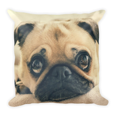 Pug Pillow