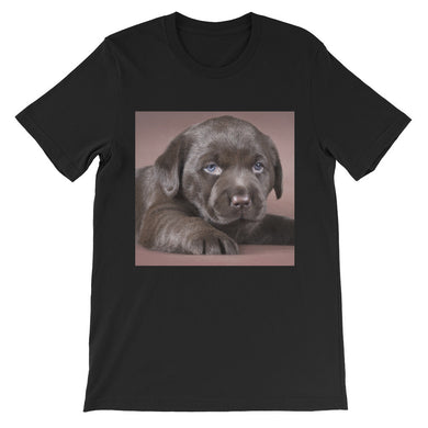 Puppy t-shirt
