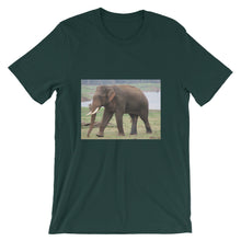 Endangered Species t-shirt