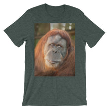 Endangered Species t-shirt