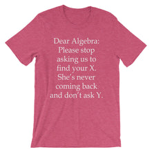 Dear Algebra t-shirt