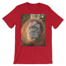 Endangered Species t-shirt