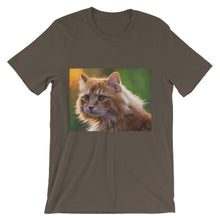 Cat t-shirt