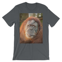 Endangered Species t-shirt