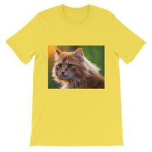 Cat t-shirt