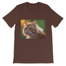 Cat t-shirt