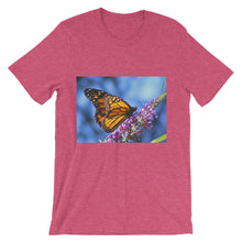 Butterfly t-shirt