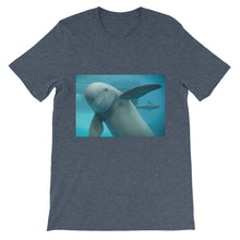 Endangered Species t-shirt