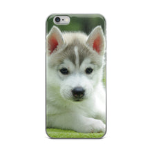 Husky Puppy iPhone 5/5s/Se, 6/6s, 6/6s Plus Case