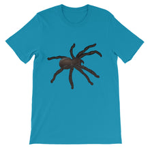 Tarantula t-shirt