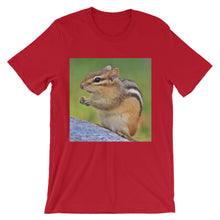 Chipmunk t-shirt