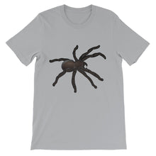 Tarantula t-shirt