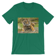 Endangered Species t-shirt