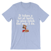 It Takes a Lot of Balls to Play Fetch t-shirt