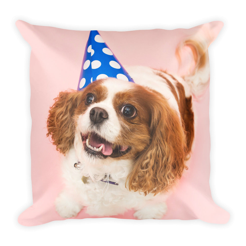 Birthday Dog Pillow