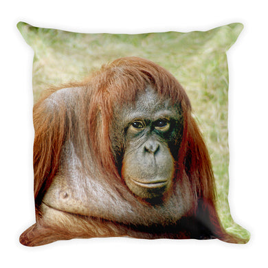 Endangered Species Pillow