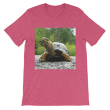 Turtle t-shirt