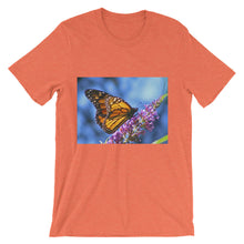 Butterfly t-shirt