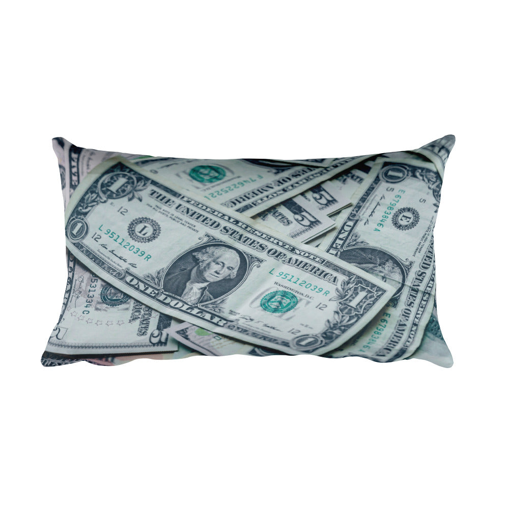 Paper Money Pillow