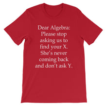 Dear Algebra t-shirt