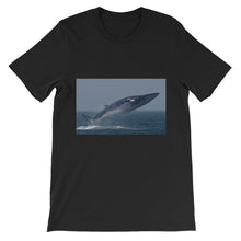 Endangered Species t-shirt