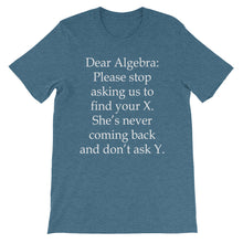 Dear Algebra t-shirt