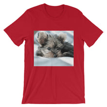 Yorkie Puppy t-shirt