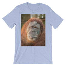 Endangered Species t-shirt