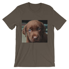 Puppy t-shirt
