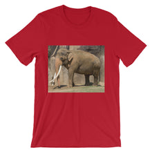 Endangered Species t-shirt