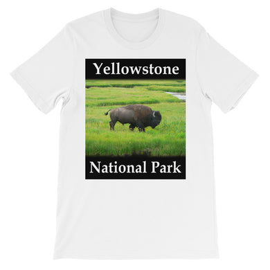 Yellowstone t-shirt