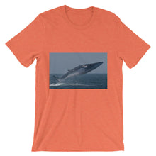 Endangered Species t-shirt