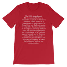 Fifth Amendment t-shirt