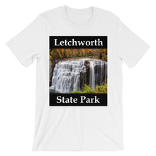 Letchworth t-shirt