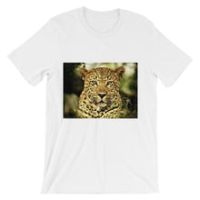 Leopard t-shirt