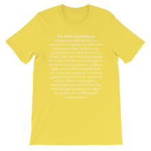 Fifth Amendment t-shirt