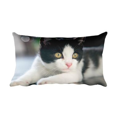 Kitten Pillow