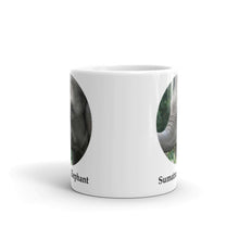 Sumatran Elephant Mug