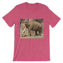 Endangered Species t-shirt