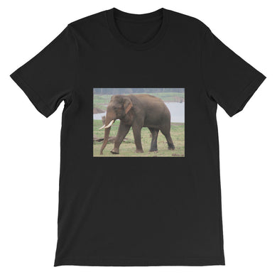 Endangered Species t-shirt