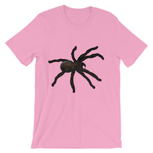 Tarantula t-shirt