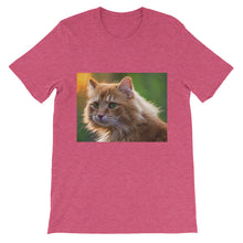 Cat t-shirt