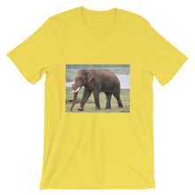 Endangered Species t-shirt