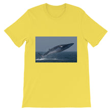 Endangered Species t-shirt