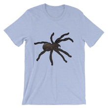 Tarantula t-shirt