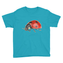 Ladybug Youth Short Sleeve T-Shirt