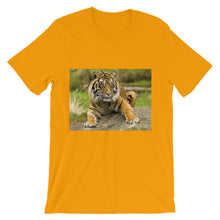 Endangered Species t-shirt