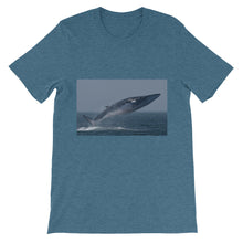 Endangered Species t-shirt