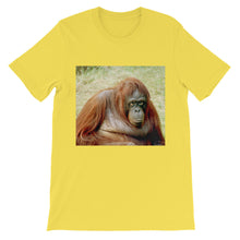 Endangered Species t-shirt